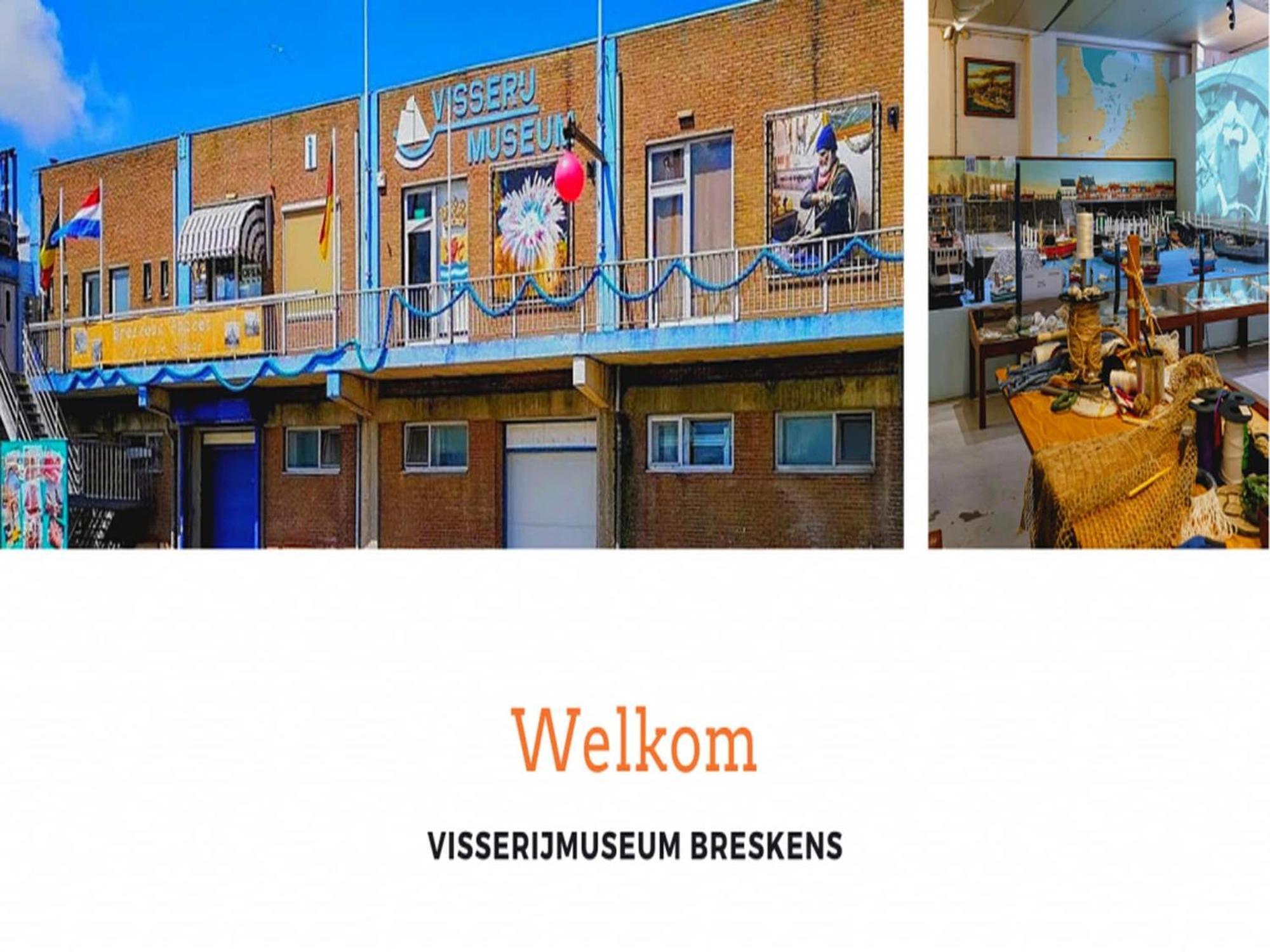 Schoneveld 183 Duinroos *